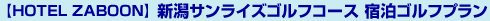 �V���T�����C�Y�S���t�R�[�X �h���S���t�v����